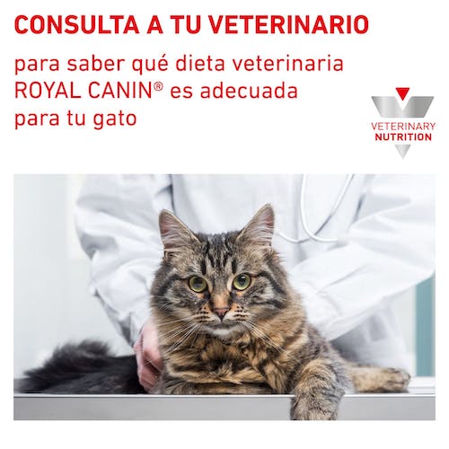 ROYAL CANIN | Alimento seco para gatos Satiety