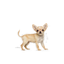 ROYAL CANIN | Alimento seco para perros cachorros Chihuahua