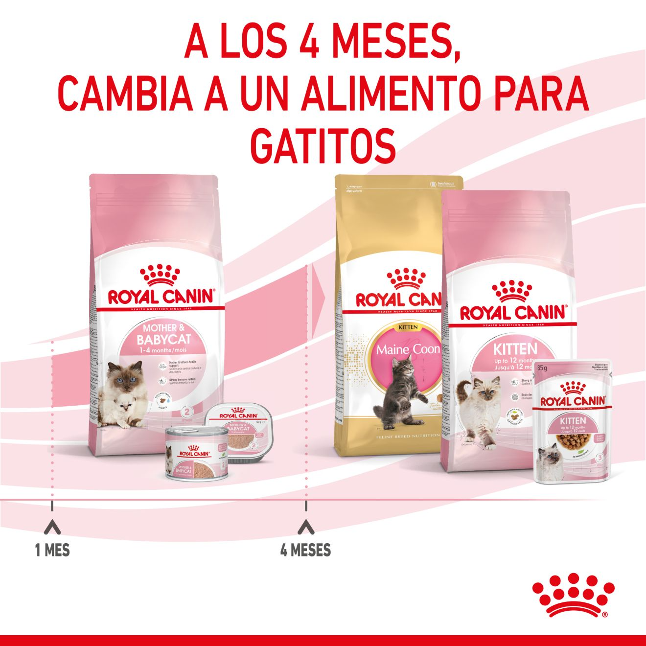 ROYAL CANIN | Alimento seco para gatas madres y crías Mother & Babycat