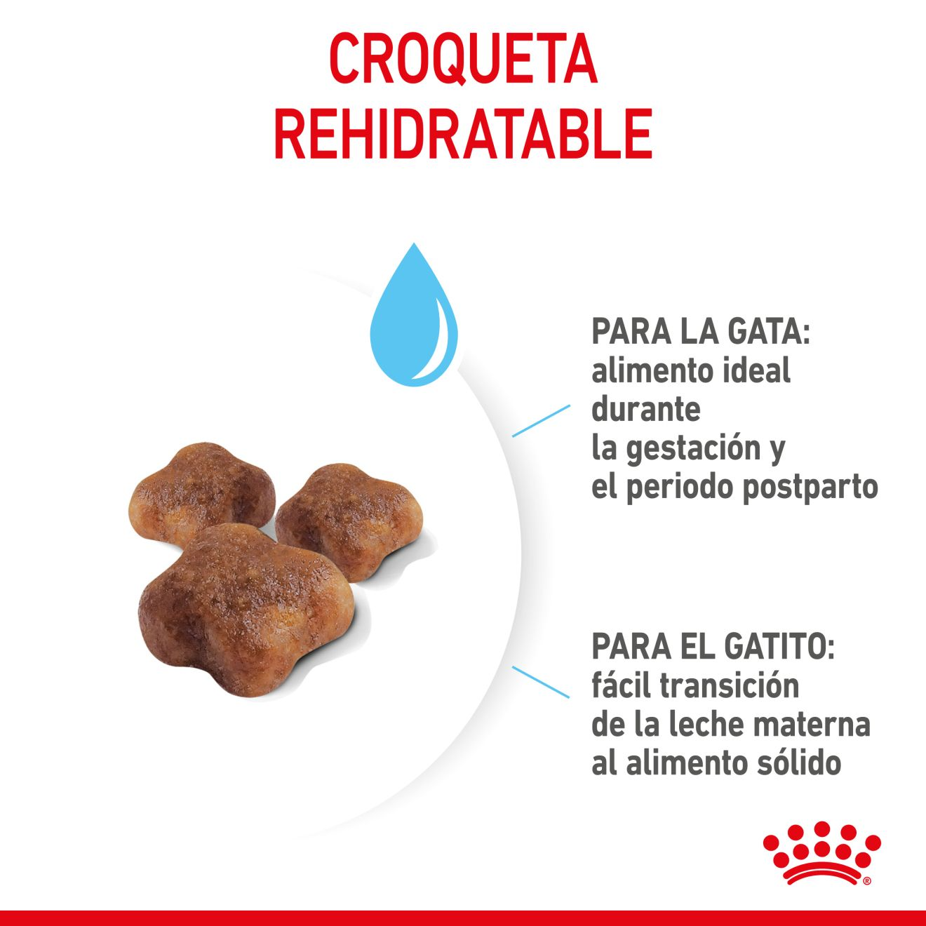 ROYAL CANIN | Alimento seco para gatas madres y crías Mother & Babycat