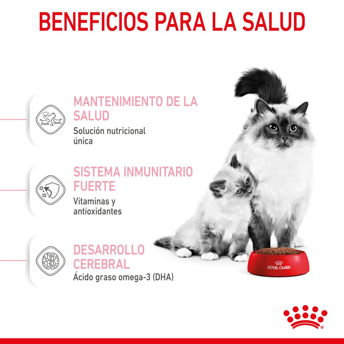 ROYAL CANIN | Alimento seco para gatas madres y crías Mother & Babycat