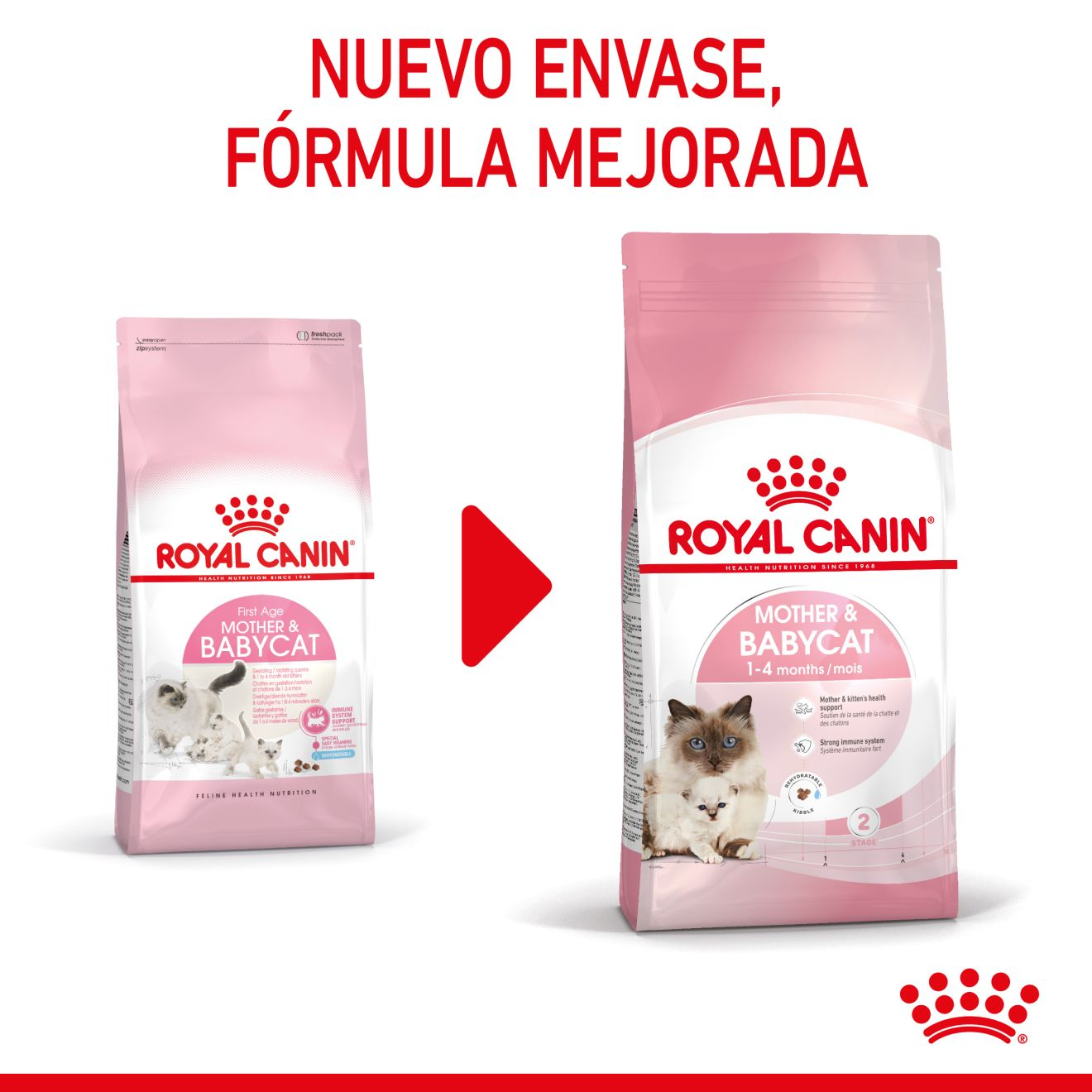 ROYAL CANIN | Alimento seco para gatas madres y crías Mother & Babycat