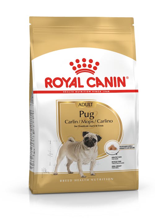 ROYAL CANIN | Alimento seco para perros adultos Pug