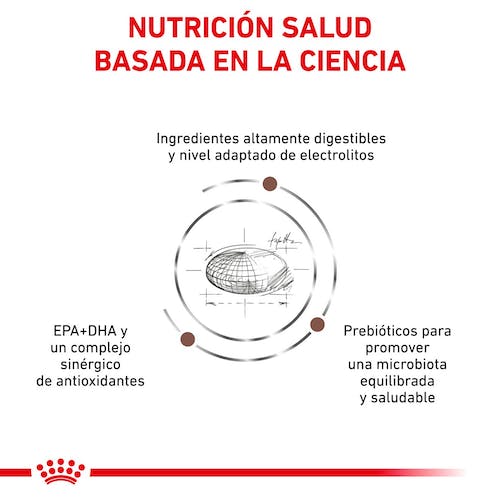 ROYAL CANIN | Alimento seco para perros Gastrointestinal High Fibre