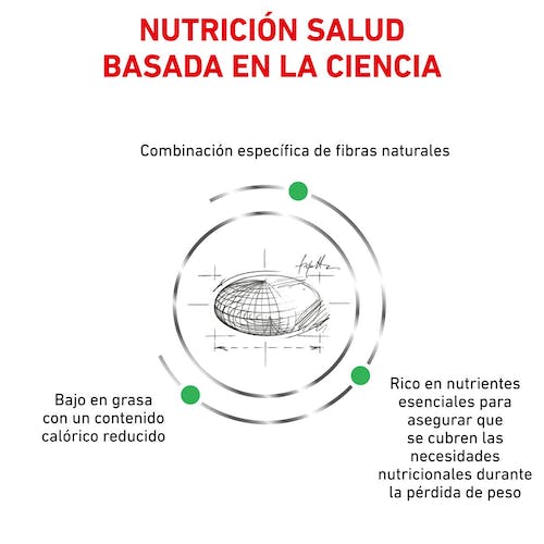 ROYAL CANIN | Alimento seco para gatos Satiety