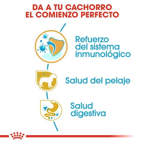 ROYAL CANIN | Alimento seco para perros cachorros Yorkshire Terrier