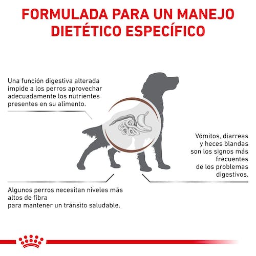 ROYAL CANIN | Alimento seco para perros Gastrointestinal High Fibre