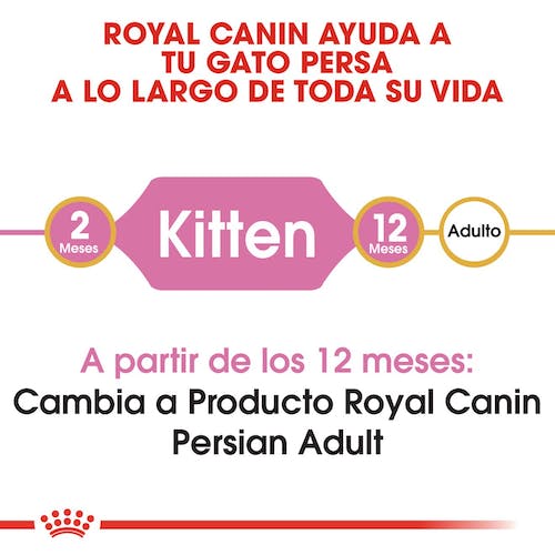 ROYAL CANIN | Alimento seco para gatitos Persian