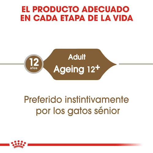 ROYAL CANIN | Alimento húmedo para gatos sénior en salsa (Pack de 12 bolsitas de 85g) (DESCONTINUADO)