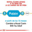 ROYAL CANIN | Alimento seco para perros cachorros Shih Tzu