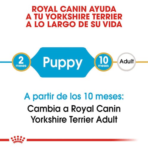 ROYAL CANIN | Alimento seco para perros cachorros Yorkshire Terrier