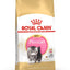ROYAL CANIN | Alimento seco para gatitos Persian