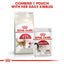 ROYAL CANIN | Alimento seco para gatos adultos Fit32