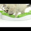 Catit | Circuito de juegos Senses 2.0 Play Circuit