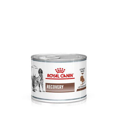 ROYAL CANIN | Alimento húmedo para perros y gatos Recovery (Pack de 12 latas de 195g)