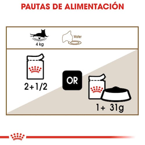 ROYAL CANIN | Alimento húmedo para gatos sénior en salsa (Pack de 12 bolsitas de 85g) (DESCONTINUADO)