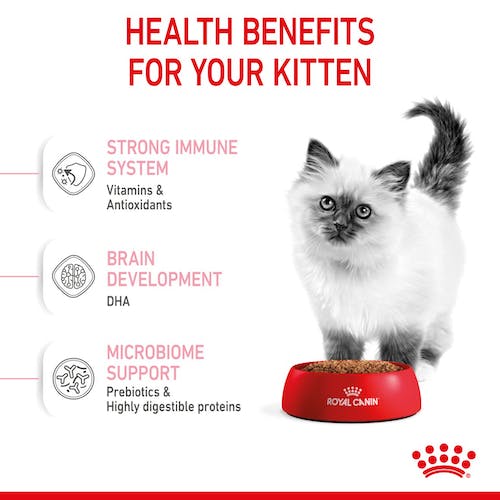 ROYAL CANIN | Alimento seco para gatitos