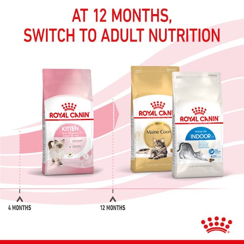 ROYAL CANIN | Alimento seco para gatitos