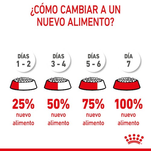 ROYAL CANIN | Alimento seco para gatitos