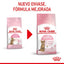 ROYAL CANIN | Alimento seco para gatitos Sterilized