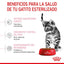 ROYAL CANIN | Alimento seco para gatitos Sterilized