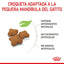 ROYAL CANIN | Alimento seco para gatitos Sterilized