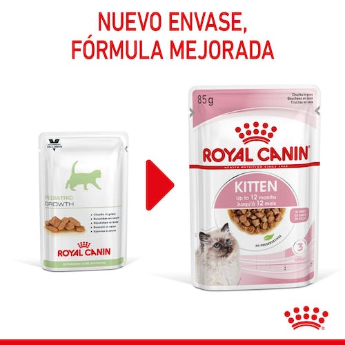 ROYAL CANIN | Alimento húmedo para gatitos en salsa (Pack de 12 bolsitas de 85g)