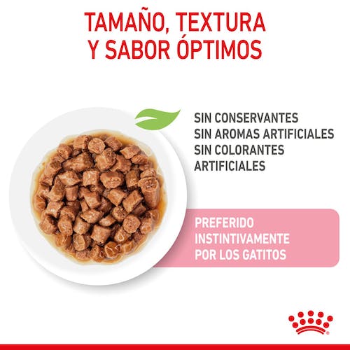 ROYAL CANIN | Alimento húmedo para gatitos en salsa (Pack de 12 bolsitas de 85g)