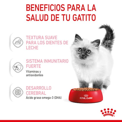 ROYAL CANIN | Alimento húmedo para gatitos en salsa (Pack de 12 bolsitas de 85g)