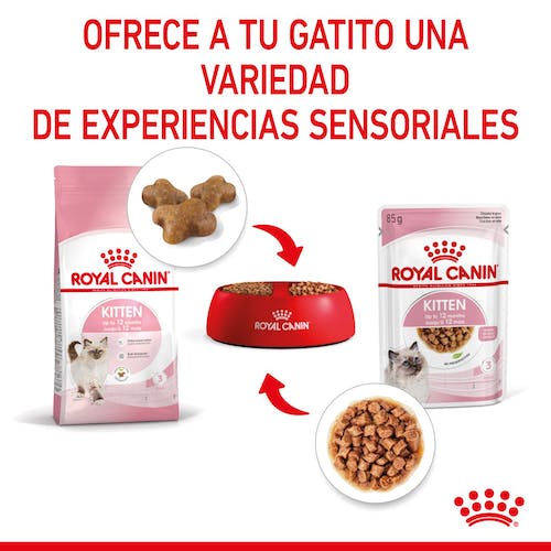 ROYAL CANIN | Alimento húmedo para gatitos en salsa (Pack de 12 bolsitas de 85g)