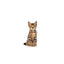 ROYAL CANIN | Alimento seco para gatitos Sterilized