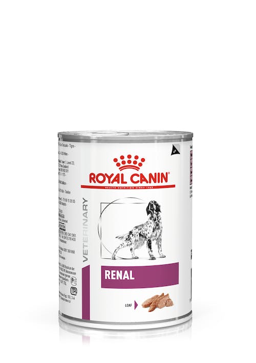 ROYAL CANIN | Alimento húmedo para perros Renal (Pack de 12 latas de 410g)