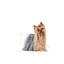 ROYAL CANIN | Alimento seco para perros adultos Yorkshire Terrier